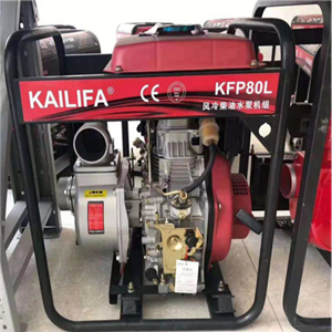 凱力發(fā)水泵系列