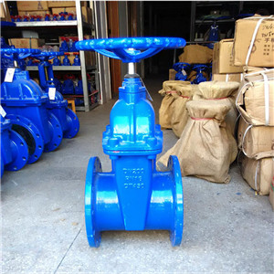 暗桿彈性座封閘閥 軟密封閥門 法蘭自來(lái)水閘閥